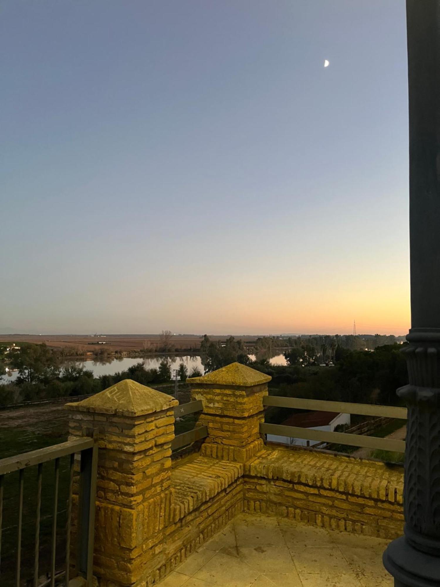 Estudio Las Palmillas Puebla del Río 外观 照片