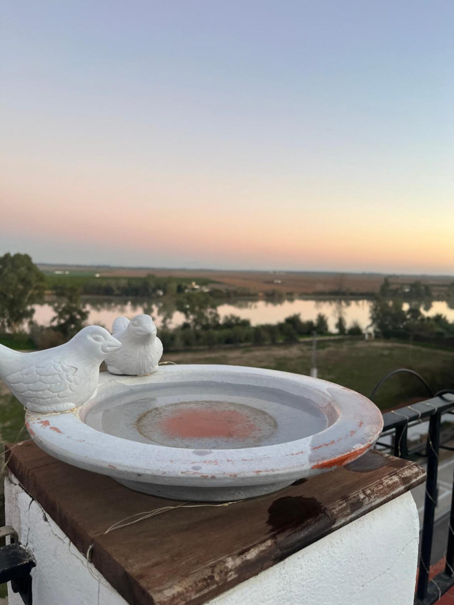 Estudio Las Palmillas Puebla del Río 外观 照片